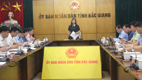 Phó Chủ tịch Thường trực HĐND tỉnh Bắc Giang Lâm Thị Hương Thành phát biểu tại buổi làm việc với UBND tỉnh - ẢNH MINH LINH